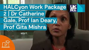 HALCyon Work Package 2