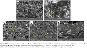 Novel materials for silicon based photonics by qingyang du b.s., materials physics university of science and technology of china, 2012 submitted to the department of materials science and engineering in partial fulfillment of the requirements for the degree of doctor of philosophy at the massachusetts institute of technology september 2018 Coated Electrospun Alginate Containing Fibers As Novel Delivery System Ijn