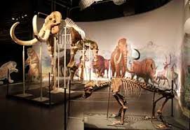 Check spelling or type a new query. Parc De Prehistoire Tarascon Visite Images Hominides