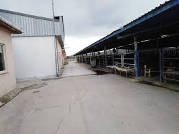 Afyonkarahisar merkez'e 10km mesafede bulunan, bölgedeki canlı hayvan satışının p'inin gerçekleştiği 20.000mt2 açık. Afyonkarahisar Da Hayvan Pazarlari Yeniden Aciliyor Afyonkarahisar Haberleri