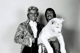 It was all and accident and the tiger. Siegfried And Roy What Happened The Night Of The Tiger Attack Reader S Digest