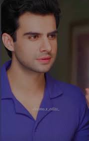 Name the most impactful character of Pakistani dramas from 2025 Rabi from  TMNON Kamran From Case Number 9 Farasat from Sharpasand Wali from Parwarish  Laila from Jama Taqseem Malika from Pamal