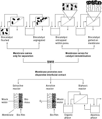 Simple diffusion is the process by which solutes are moved along a concentration gradient in a solution or across a semipermeable membrane. Biocatalytic Membrane Reactors Bmr