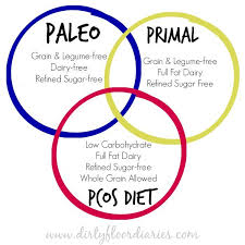 Day 2 Research Pcos Diet Primal Diet Pcos Diet Plan