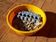 Image result
