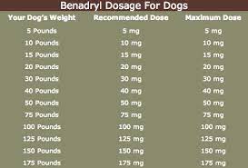 Apr 23, 2021 · the best way to determine the correct benadryl dosage for dogs is to consult your veterinarian. A Dog Benadryl Dosage Chart To Help With Benadryl Dosage For Dogs