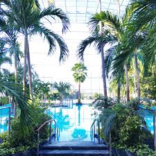 Ruhe und entspannung garantiert auch hier. Thermen Badewelt Sinsheim Auf I Love Spa Wellness Blog Sinsheim Therme Sinsheim Therme