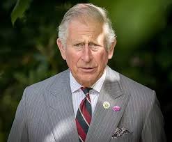 September 10, 2017 at 1:24 pm unknown said. Prince Of Wales Latest News Videos And Prince Of Wales Photos Times Of India