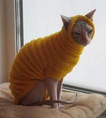 We are a small cattery located in seattle, washington. Clothing For Cats Clothes For Sphynx Cat Clothes Sweater Etsy Sphynx Cat Clothes Cat Sweaters Cat Clothes