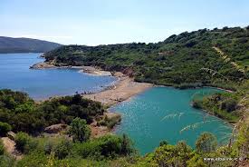 Image result for Verde Giannutri 2008 147