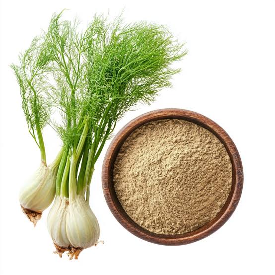 Fennel extract - Wholesale Distributor