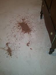 How to clean dog diarrhea out of a rug. Severe Diarrhea Stains All Over The Carpet In The Room We Rented Picture Of Oyo Hotel Fayetteville S Eastern Blvd East Fayetteville Tripadvisor