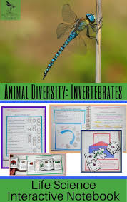 Animal Diversity Invertebrates Life Science Interactive Notebook Includes The Following Conc Interactive Science Notebook Life Science Interactive Notebooks
