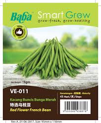 Kacang buncis tumbuh merambat (pole. Baba Ve 011 Red Flower French Bean Kacang Buncis Bunga Merah