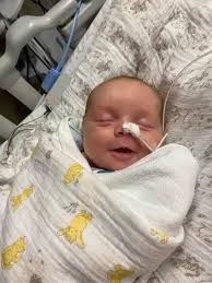 Service dog training for solo appointments