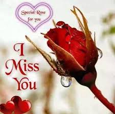 Pin By Sana Bano On Miss You In 2020 Rose Daddy I Love You Beautiful Love