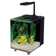 Find many great new & used options and get the best deals for biobubble 3d background for aquaterra 2 gallon blue at the best online prices at ebay! Penn Plax 2 Gallon Prism Nano Aquarium Kit Black Petco