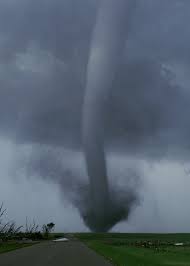 Download, share or upload your own one! Free Download Tornado Gif 500x700 For Your Desktop Mobile Tablet Explore 45 Moving Tornado Wallpaper Moving Storm Wallpaper Moving Lightning Desktop Wallpaper Animated Tornado Desktop Wallpapers