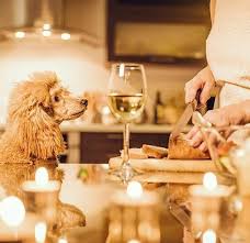 Thanksgiving dog treats are a. Safe Thanksgiving Foods To Share With Your Dog Plus Those To Avoid