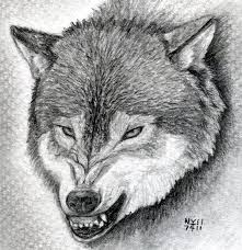 How To Draw A Growling Wolf Step By Step Drawing Guide By Finalprodigy Dragoart Com The best selection of royalty free wolf snarling vector art, graphics and stock illustrations. how to draw a growling wolf step by