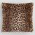Living Room Leopard Cat