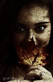 Ashli Reed Photography