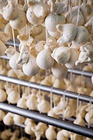 Caciocavallo Cheese Formaggio Fatto In Casa Cibo Gastronomia