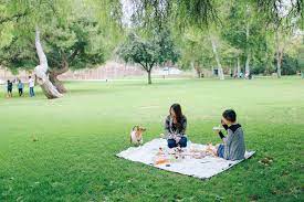 日誌diary 夢幻草地野餐初體驗 spring picnic schabarum park h e r n a m e i s s h i n lifestyle fashion cats food photography picnic picnic foods picnic blanket