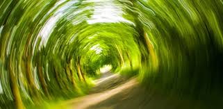 We did not find results for: Stari De Ameteala Si Slabiciune Care Pot Fi Cauzele Cancer360