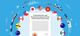 The cptpp was signed on march 8 at a ceremony in santiago, chile that was attended by in particular, the cptpp retains the same rules and market access outcomes and most of the provisions. E Portal About Cptpp Launched Economy Vietnam News Politics Business Economy Society Life Sports Vietnam News