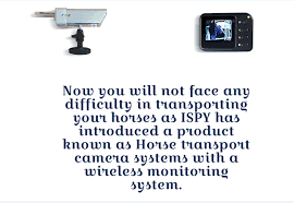 Maybe you would like to learn more about one of these? Ispy Horse Camera Ispyhorsecam1 Twitter