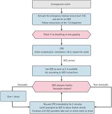 Part 5 Pediatric Basic Life Support 2015 Korean Guidelines