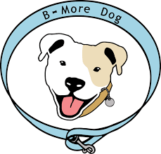 Doing business as:pet wellness clinic inc. Low Cost Vaccine Clinics B More Dog