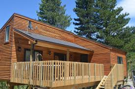 Hanmer Tree House Unique Location On Forest Edge In Hanmer Springs Hurunui District Bookabach Holiday Home Tree House Holiday Accommodation