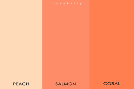 Warna cat rumah minimalis #1: Bllvktm3oufswm