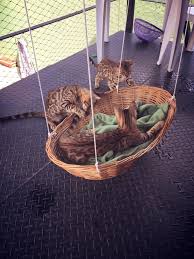 Once You Ve Built The Catio Of Your Dreams Toss In This Brilliant Idea For Kitty Hammock Diy Cat Bed Cat Diy Diy Stuffed Animals