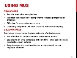 Introduction it is a means of providing finance for international trade and creating a unique financial instrument that is attractive to money market investors. Advantages And Disadvantages Of Using Mus In Auditing Youtube