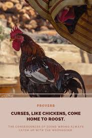 Curses Like Chickens Come Home To Roost English Proverb Proverbs Positive Quotes Home To Roost
