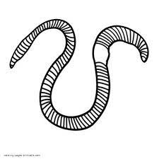 School's out for summer, so keep kids of all ages busy with summer coloring sheets. Worm Coloring Pages Coloring Home