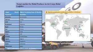 The goodfirms team reduced the elaborate research process of logistics companies in malaysia for you. Bpmg3093 Airport Planning And Management Group No 2 Project Name Halal Logistics Youtube