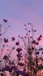 See more ideas about aesthetic wallpapers, aesthetic iphone wallpaper, wallpaper backgrounds. Pin On Nature Wallpapers