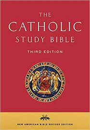 The first books in the christian bible are the holy books of the jewish faith, collected in the tanakh. Amazon Com The Catholic Study Bible 9780190267230 Senior Donald Collins John Getty Mary Ann Books