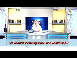 If shark is also a fish, then why there is doubt whether it is halal or not? All Seafood Halal Including Whales And Shark Sheikh Assim Al Hakeem Youtube