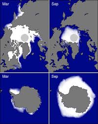 Check spelling or type a new query. Antarctica The Effects Of Global Warming
