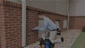 Seems pretty obvious, but you would not know it judging the many inquiries i get. Pest Control In The Southeast Cook S Pest Control