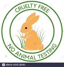 Discover the best mineral makeup for you! Cruelty Free Vector Icon Isolated On Transparent Background Cruelty Free Logo Concept Stock Vector Image Art Alamy