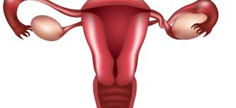 Ovarian cysts symptoms include pelvic or abdominal pain, and are caused by a variety of reasons. Apakah Punca Cyst Ibnu Sina Wellness