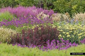 Vlinderhof Maximapark Utrecht Design Piet Oudolf Images Hans Van Horssen Garten Pflanzen Bepflanzung Garten