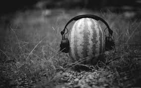 Jika ada sedang mencari gambar buah semangka hitam putih untuk diwarnai. Wallpaper Sunlight Nature Humor Grass Headphones Watermelons Light Tree Photograph Darkness Black And White Monochrome Photography Close Up Macro Photography 1920x1200 Chipchap90 183687 Hd Wallpapers Wallhere