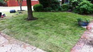 Maybe you would like to learn more about one of these? How Much Does It Cost To Sod A Yard Cost To Sod A New Lawn